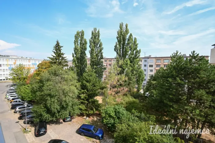 Pronájem bytu 3+1, Brno, Polní, 77 m2