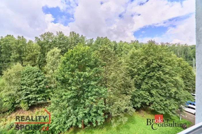 Prodej bytu 3+1, Kraslice, Družstevní, 62 m2