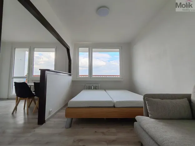 Pronájem bytu 1+1, Most, Růžová, 40 m2