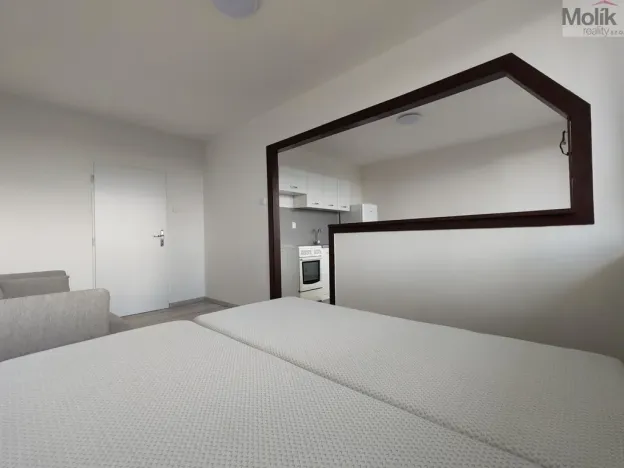 Pronájem bytu 1+1, Most, Růžová, 40 m2