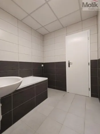Pronájem bytu 1+1, Most, Růžová, 40 m2