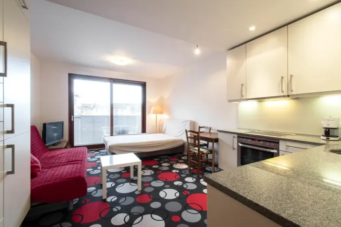 Pronájem bytu 1+kk, Praha - Vysočany, Paříkova, 29 m2