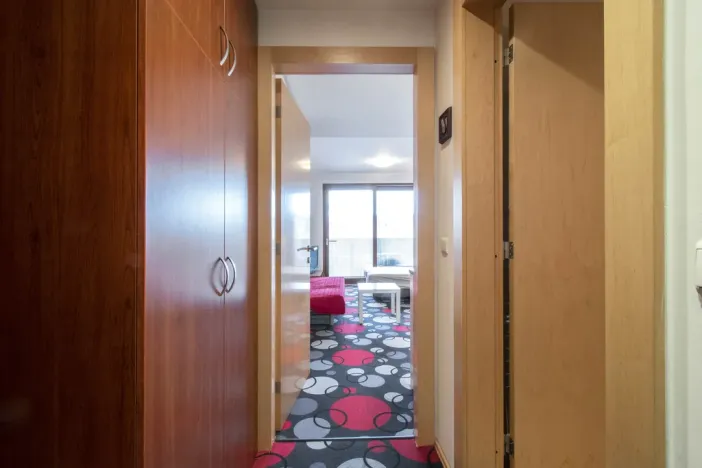 Pronájem bytu 1+kk, Praha - Vysočany, Paříkova, 29 m2