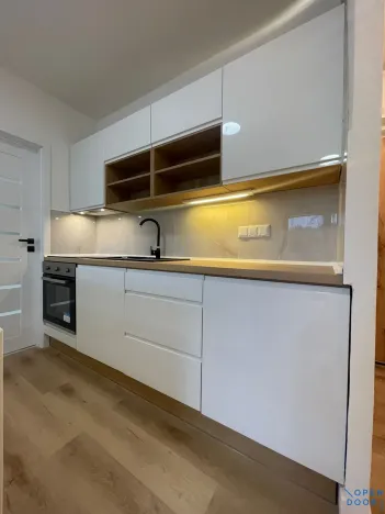 Prodej bytu 2+1, Bílina, Litoměřická, 41 m2