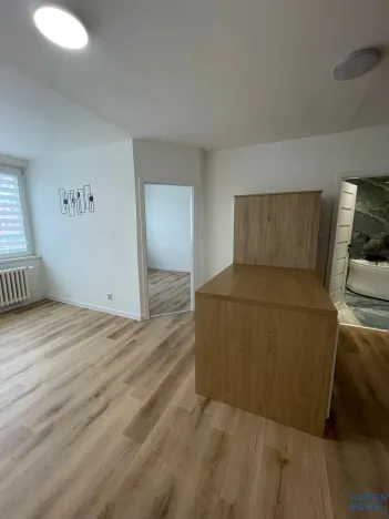 Prodej bytu 2+1, Bílina, Litoměřická, 41 m2