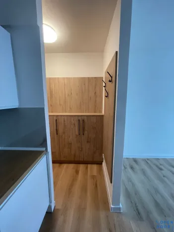Prodej bytu 2+1, Bílina, Litoměřická, 41 m2