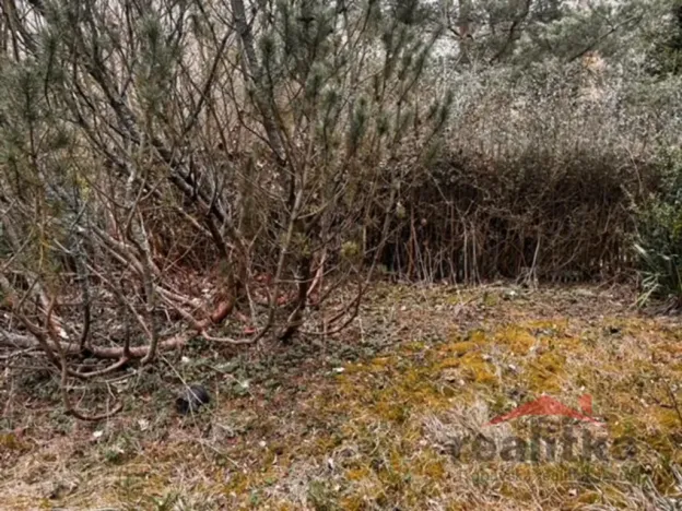Prodej chaty, Světlá Hora - Dětřichovice, 40 m2