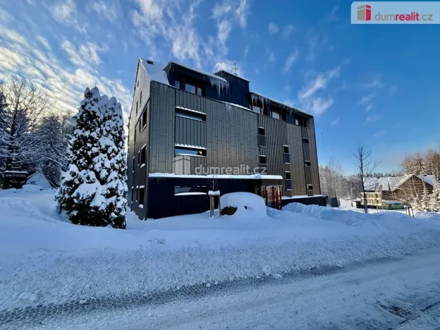 Pronájem bytu 1+kk, Harrachov - Nový Svět, 37 m2
