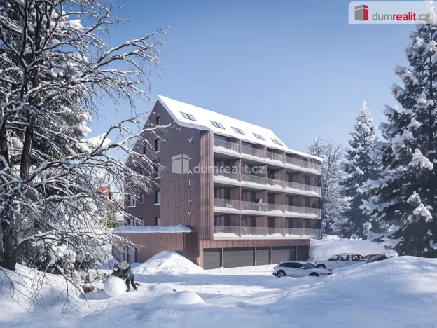 Pronájem bytu 1+kk, Harrachov - Nový Svět, 37 m2