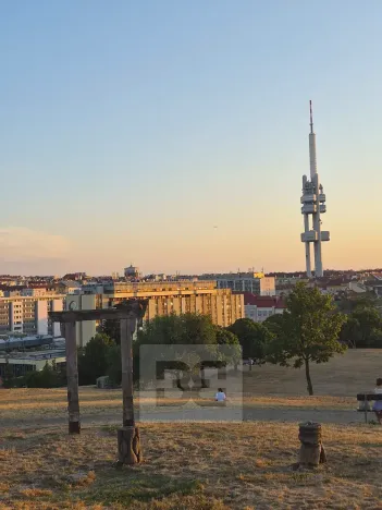 Pronájem bytu 2+1, Praha - Vinohrady, Velehradská, 42 m2