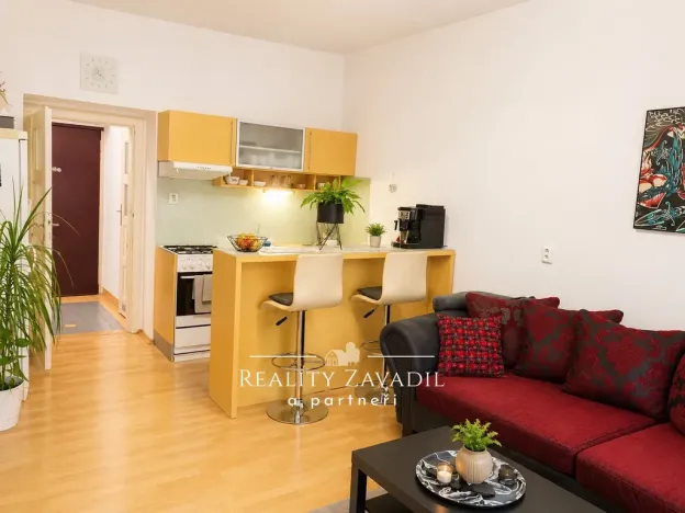 Pronájem bytu 2+kk, Praha - Žižkov, Biskupcova, 47 m2