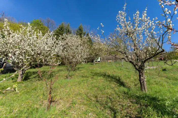 Prodej chaty, Kostomlaty pod Milešovkou, Lhenická, 47 m2