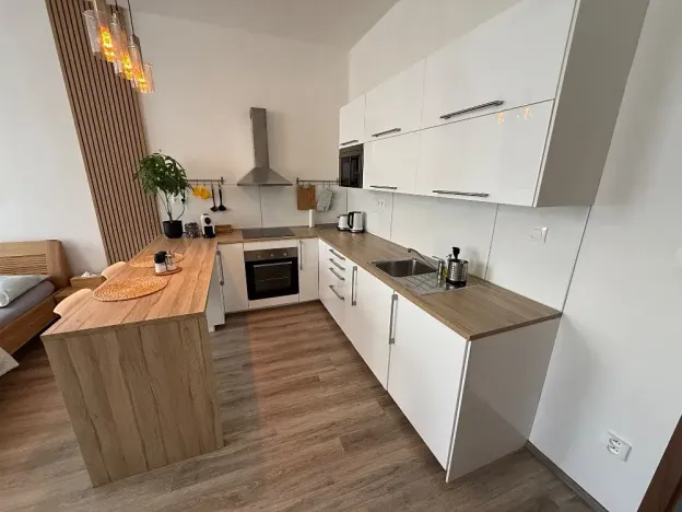 Pronájem bytu 1+kk, Brno, Francouzská, 40 m2