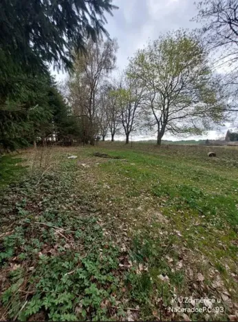 Prodej pozemku, Načeradec, 2315 m2