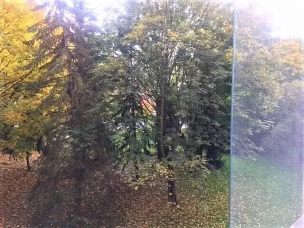 Pronájem bytu 2+1, Praha - Břevnov, Nad alejí, 52 m2