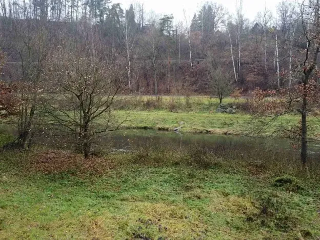 Dražba louky, Světlá nad Sázavou, 8621 m2