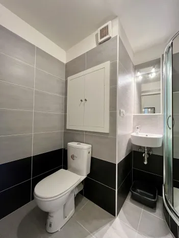 Pronájem bytu 1+kk, Ostrava - Slezská Ostrava, Bohumínská, 27 m2