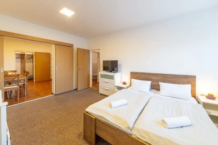 Prodej ubytování, Staré Město, Hynčice pod Sušinou, 417 m2