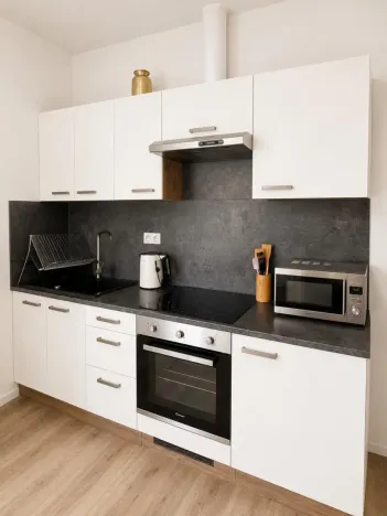 Pronájem bytu 3+kk, Most, Františka Halase, 58 m2