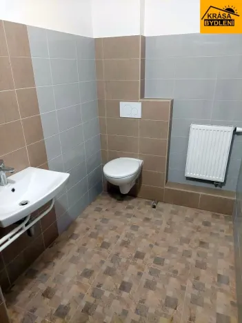 Pronájem ubytování, Písařov - Bukovice, 520 m2