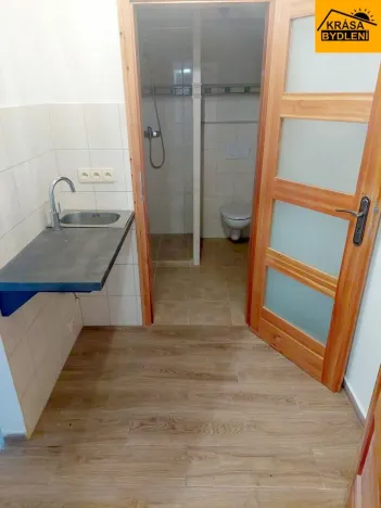 Pronájem ubytování, Písařov - Bukovice, 520 m2