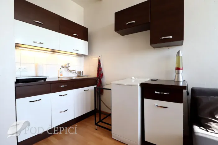 Pronájem bytu 1+kk, Brno, Halasovo náměstí, 24 m2
