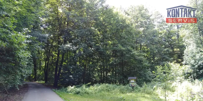 Prodej lesa, Hrabyně, 2404 m2