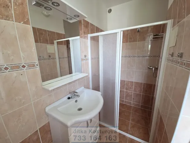 Pronájem bytu 2+1, Opava - Předměstí, Sadová, 62 m2