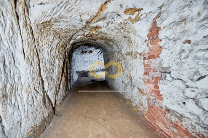 Prodej historického objektu, Horní Libchava, 782 m2