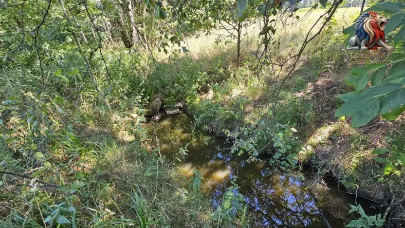 Prodej pozemku pro bydlení, Nová Cerekev - Chmelná, 982 m2