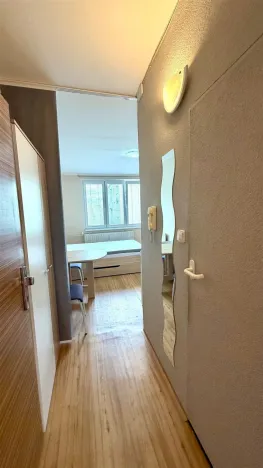 Pronájem bytu 1+kk, Cheb, Do Zátiší, 20 m2