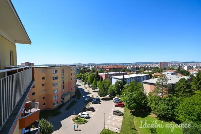 Pronájem bytu 1+kk, Brno, Bělohorská, 38 m2