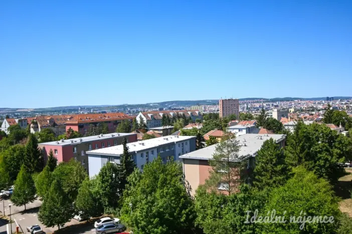 Pronájem bytu 1+kk, Brno, Bělohorská, 38 m2