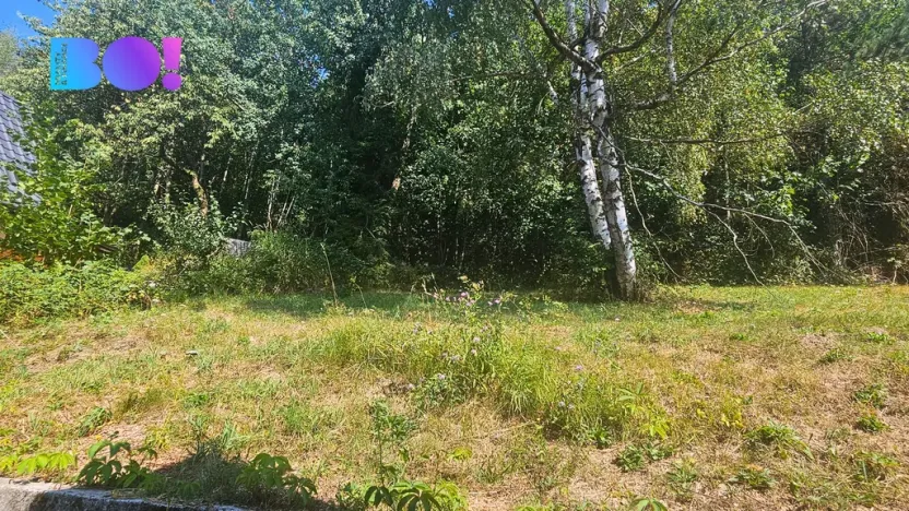 Prodej chaty, Velká Lhota, 54 m2