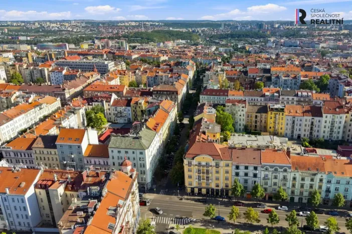 Prodej bytu 2+1, Praha - Vinohrady, Řipská, 87 m2