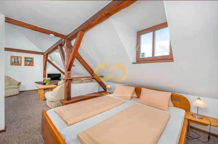 Prodej ubytování, Český Krumlov, Rooseveltova, 391 m2