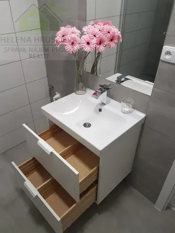 Pronájem bytu 1+kk, Ostrava, Závoří, 32 m2
