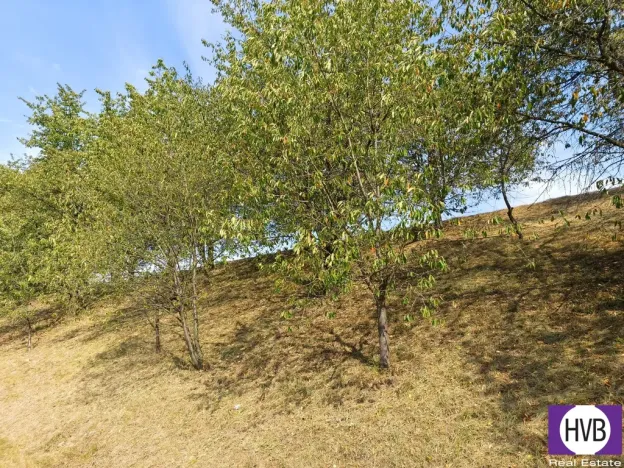 Prodej sadu/vinice, Synkov-Slemeno, 1229 m2