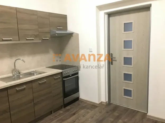 Prodej činžovního domu, Děčín, Kamenická, 261 m2