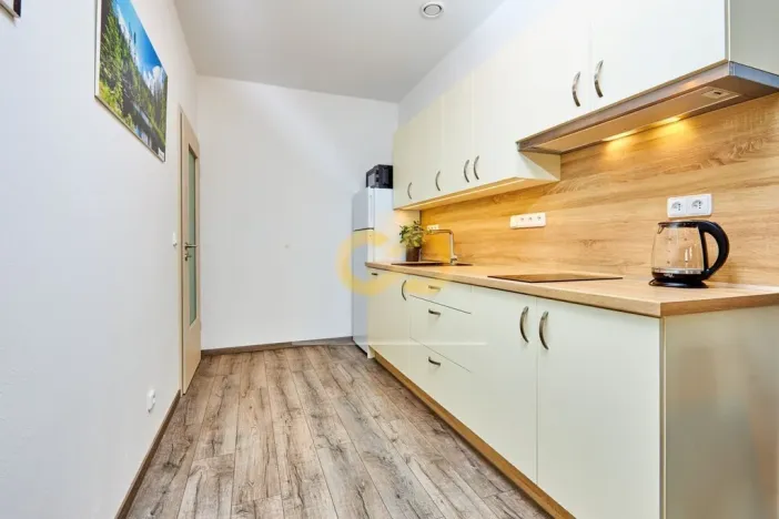 Prodej bytu 2+kk, Zdíkov - Zdíkovec, 105 m2