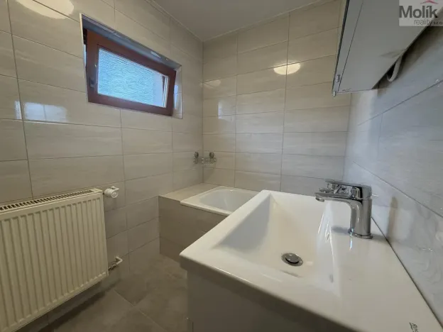 Pronájem vícegeneračního domu, Ústí nad Labem - Svádov, 28. října, 110 m2