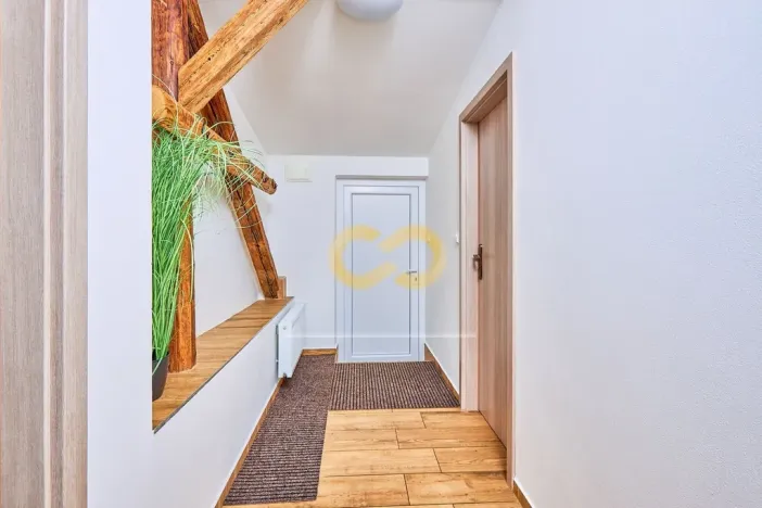 Prodej rodinného domu, Černá v Pošumaví, 320 m2