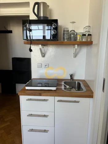 Pronájem bytu 1+kk, Praha, Přemyslovská, 26 m2