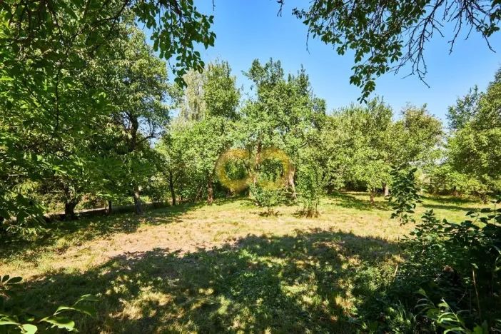 Prodej chalupy, Žimutice - Smilovice, 300 m2