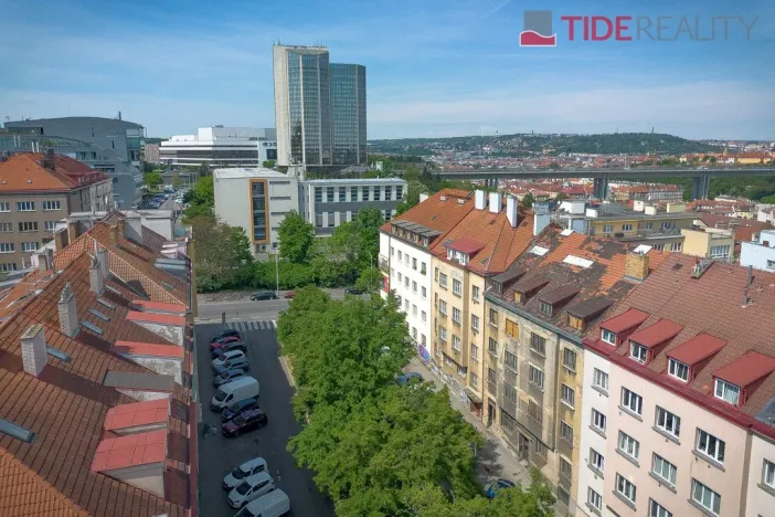 Prodej bytu 2+1, Praha - Nusle, Pod Terebkou, 80 m2