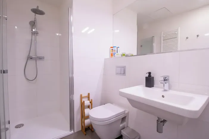 Pronájem bytu 1+kk, Praha, Perucká, 27 m2