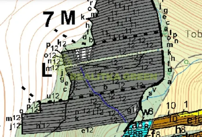 Prodej lesa, Popovice, 3779 m2
