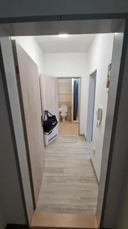Pronájem bytu 1+kk, Teplice, Emilie Dvořákové, 28 m2