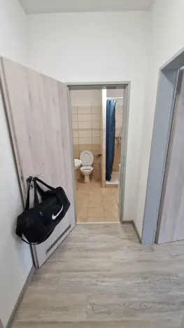 Pronájem bytu 1+kk, Teplice, Emilie Dvořákové, 28 m2