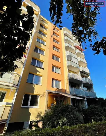 Prodej bytu 2+1, Vyškov, Puškinova, 51 m2